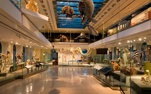 Natural History Museum of Los Angeles tickets - Regular