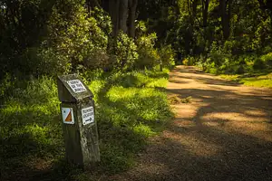 Half Day Lord Of the Rings Tour