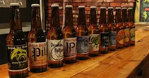 Half Day Craft Beer Discovery Tour of the Tweed