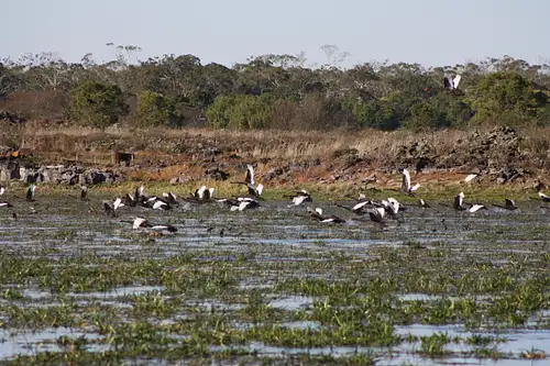 Aboriginal tours in Victoria