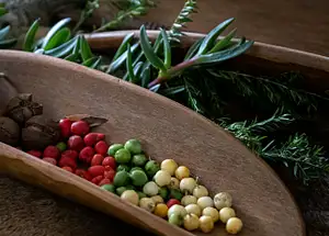 Walgun Cape Byron - Aboriginal Tour