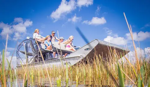 Airboat tour of the Everglades National Park - Ticket