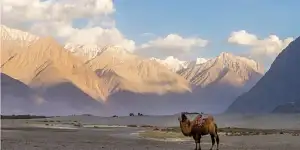 Northern India & Himalayan Trails