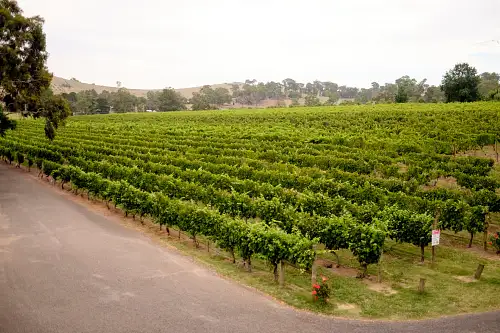 Yarra Valley