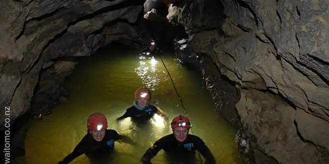 TumuTumu ToObing Glow worms