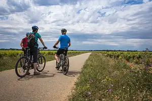 cycling tours south australia