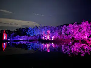 4 Day 3 Night K'gari Experience Tour + Illumina Light Show | From Hervey Bay