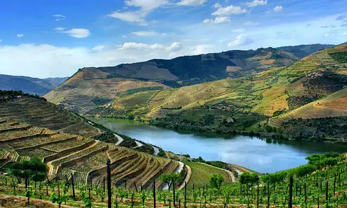 Douro Full Day Tour