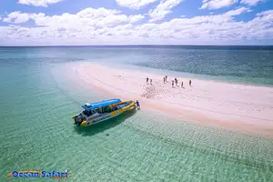 Daintree River Wildlife Cruise with Crocodiles – Cairns Rainforest Adventure