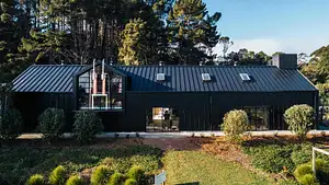 Scenic Taste and Graze Tour with Platters | From Waiheke Island