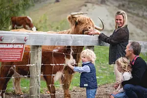 Walter Peak Farm Tour