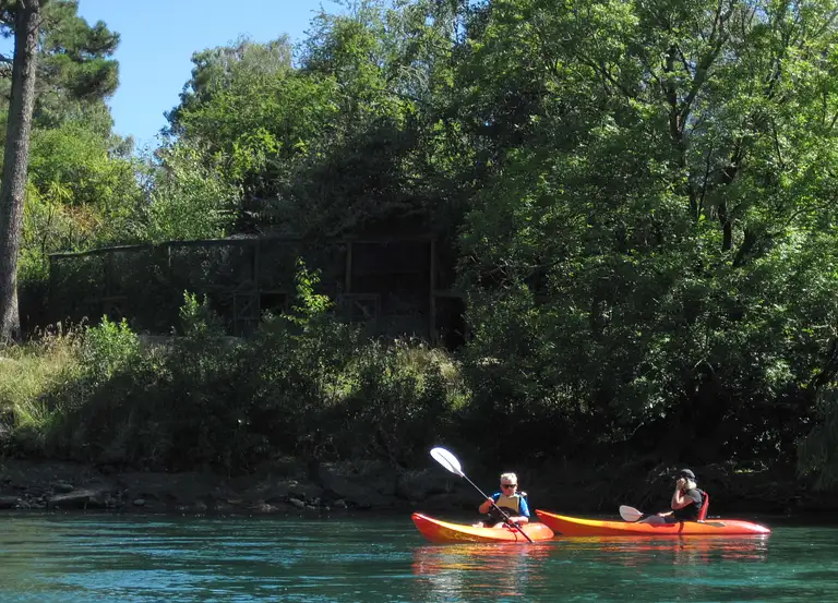 waikato river kayak tour