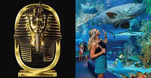 Tomb of the Pharaohs and Cairns Aquarium Package